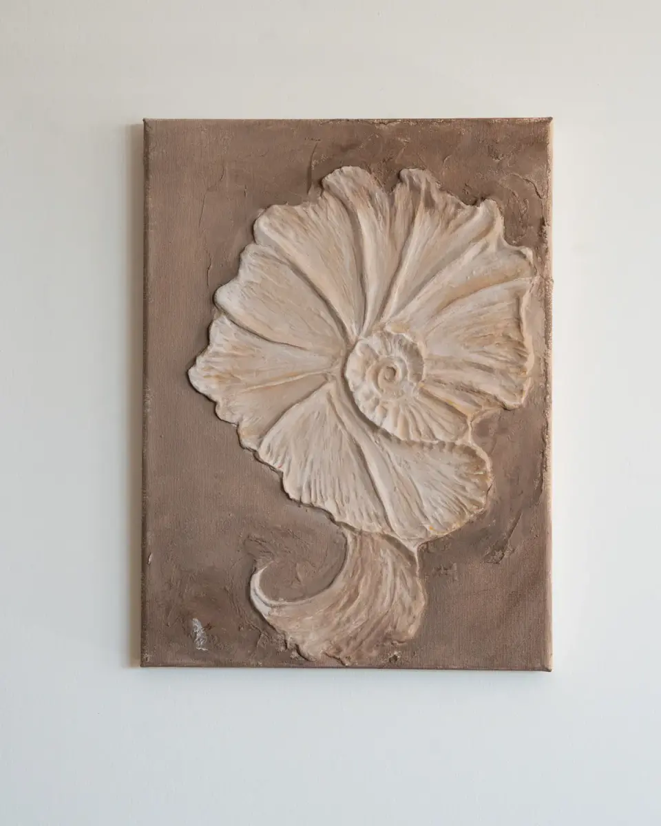 Ammonoidea — photo 1