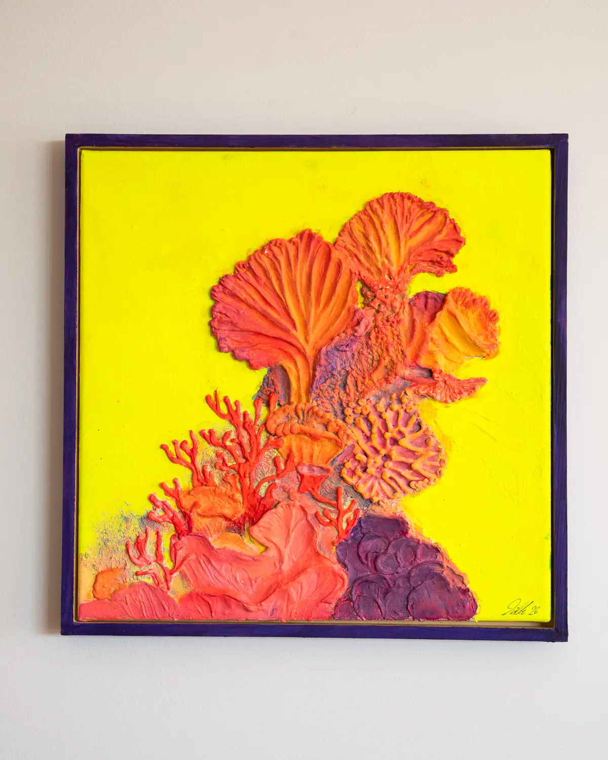 Acropora I — photo 1