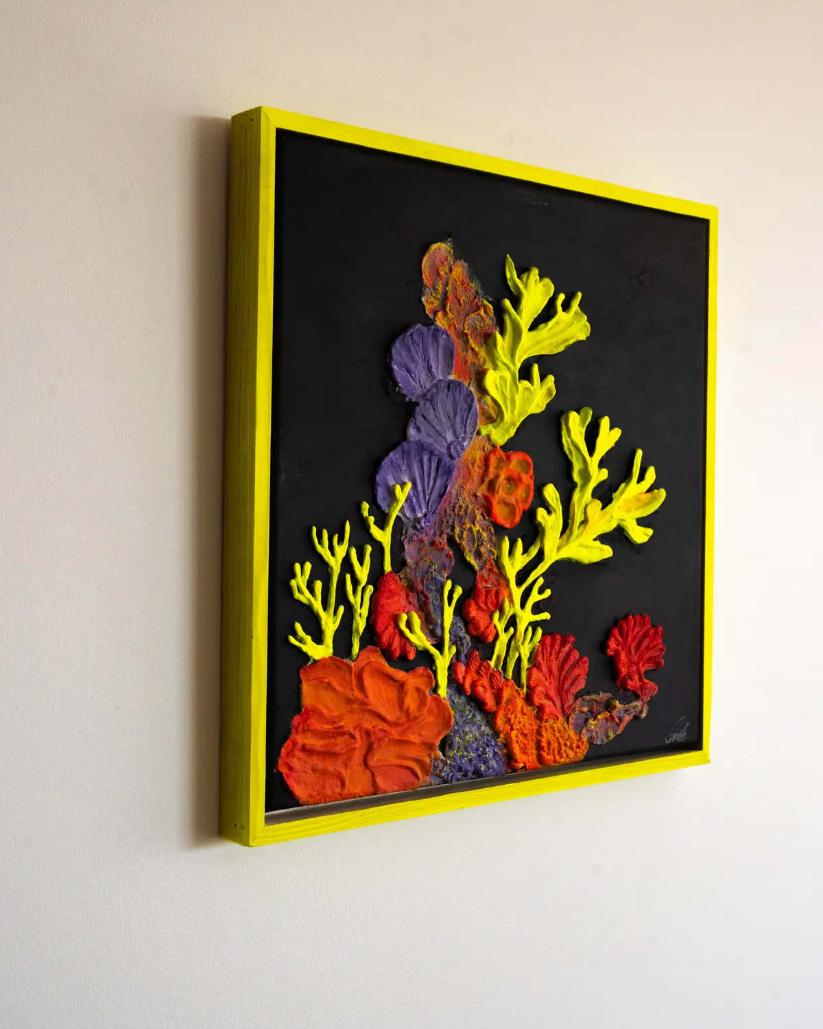 Acropora II — photo 2