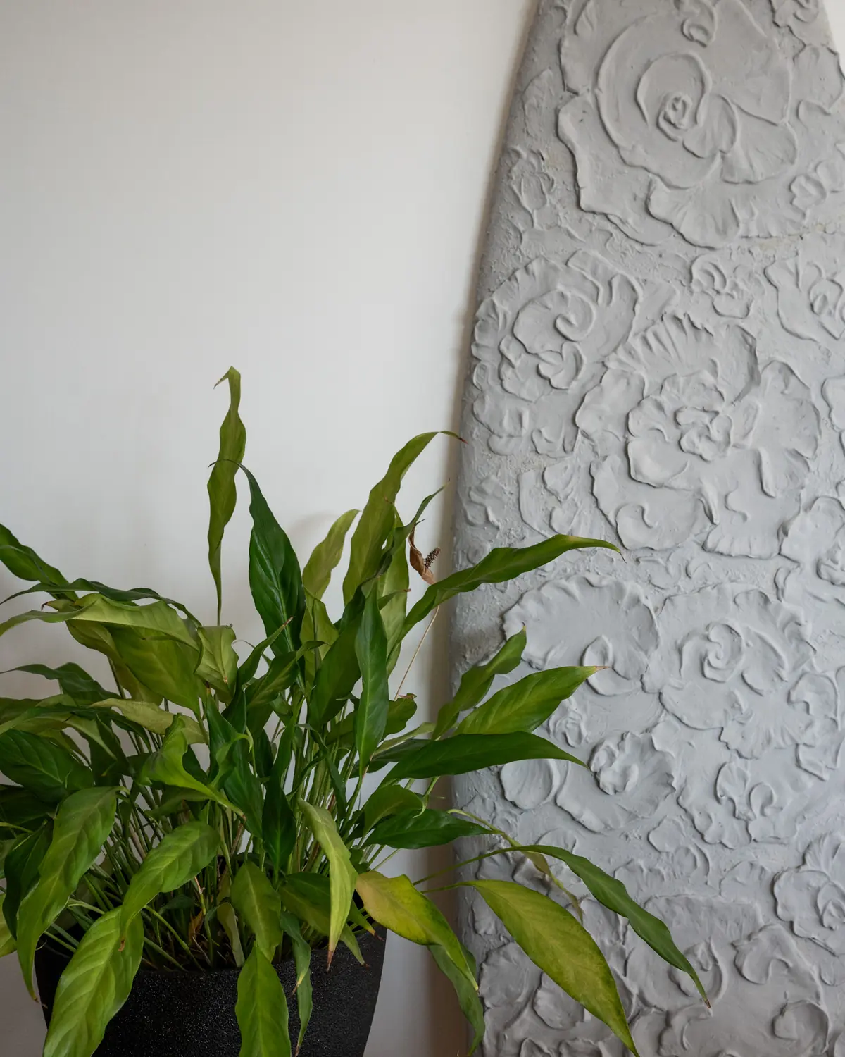 Fossil Swell — photo 4