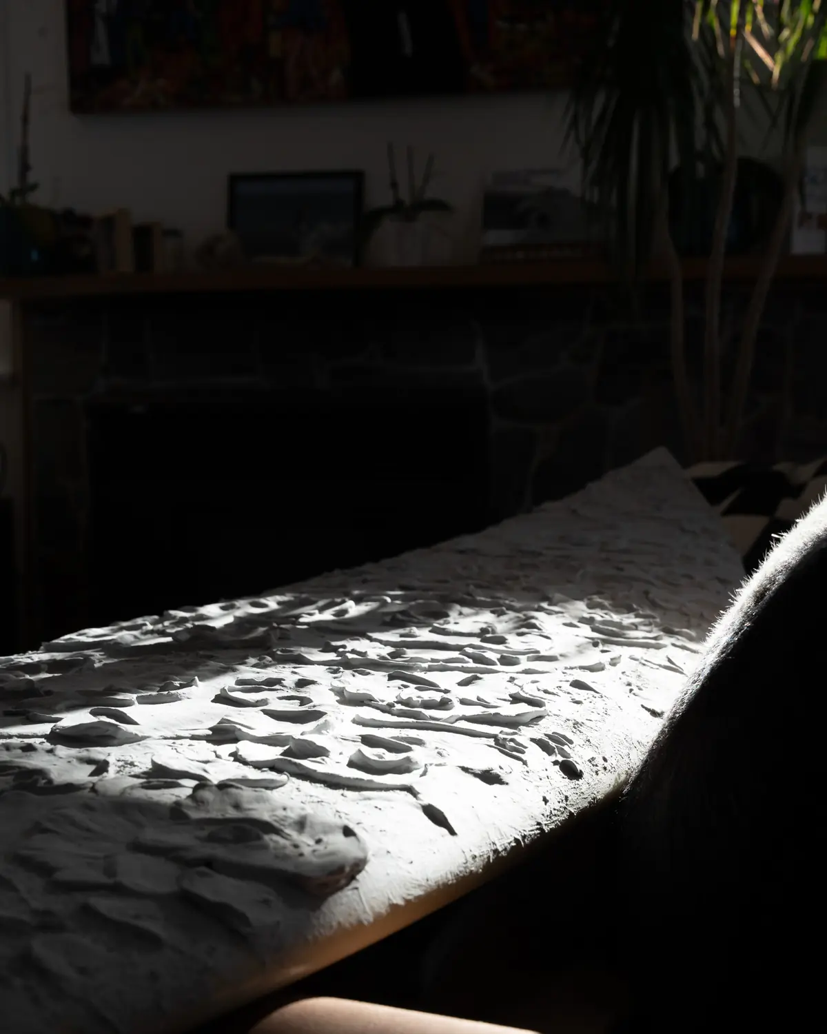 Fossil Swell — photo 5